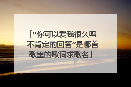 “你可以爱我很久吗 不肯定的回答”是哪首歌里的歌词求歌名