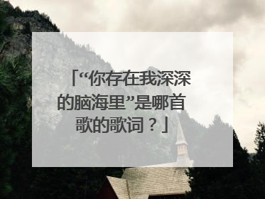 “你存在我深深的脑海里”是哪首歌的歌词？