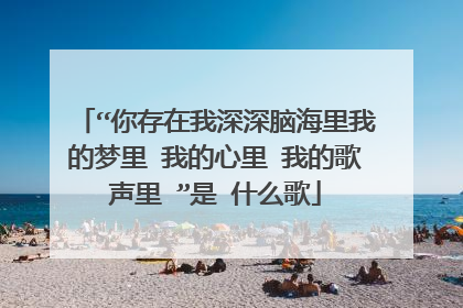 “你存在我深深脑海里我的梦里 我的心里 我的歌声里 ”是 什么歌