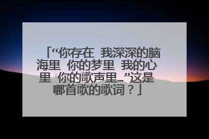 “你存在 我深深的脑海里 你的梦里 我的心里 你的歌声里…”这是哪首歌的歌词?