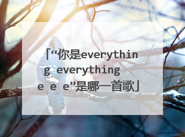 “你是everything everything  e e e”是哪一首歌