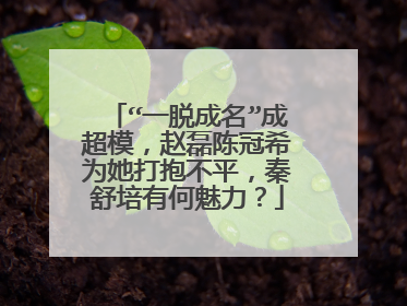 “一脱成名”成超模，赵磊陈冠希为她打抱不平，秦舒培有何魅力？