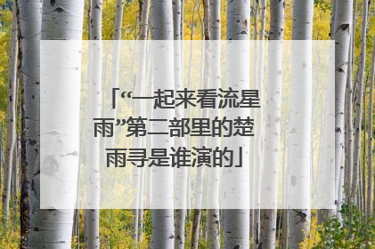 “一起来看流星雨”第二部里的楚雨寻是谁演的