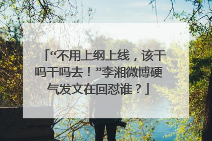 “不用上纲上线,该干吗干吗去!”李湘微博硬气发文在回怼谁?