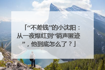 “不差钱”的小沈阳:从一夜爆红到“销声匿迹”,他到底怎么了?