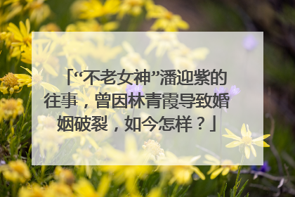 “不老女神”潘迎紫的往事,曾因林青霞导致婚姻破裂,如今怎样?