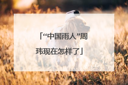 “中国雨人”周玮现在怎样了