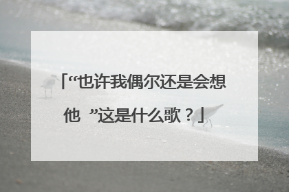 “也许我偶尔还是会想他 ”这是什么歌？