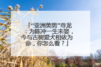 “亚洲美男”尊龙:为陈冲一生未娶,今与古树爱犬相依为命,你怎么看?