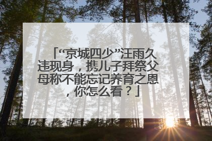 “京城四少”汪雨久违现身，携儿子拜祭父母称不能忘记养育之恩，你怎么看？