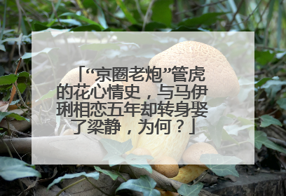 “京圈老炮”管虎的花心情史,与马伊琍相恋五年却转身娶了梁静,为何?