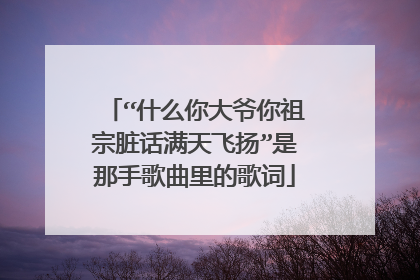 “什么你大爷你祖宗脏话满天飞扬”是那手歌曲里的歌词