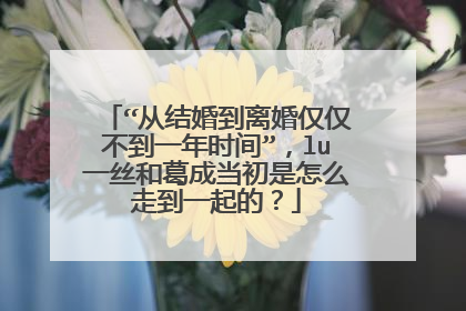 “从结婚到离婚仅仅不到一年时间”,lu一丝和葛成当初是怎么走到一起的?