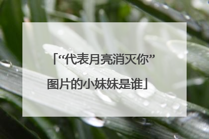 “代表月亮消灭你”图片的小妹妹是谁