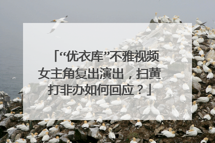 “优衣库”不雅视频女主角复出演出，扫黄打非办如何回应？