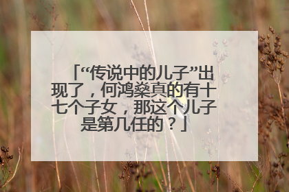 “传说中的儿子”出现了，何鸿燊真的有十七个子女，那这个儿子是第几任的？