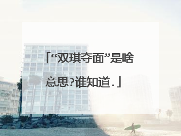 “双琪夺面”是啥意思?谁知道.
