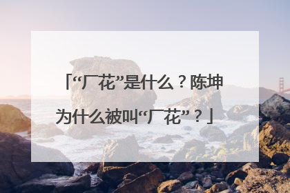 “厂花”是什么？陈坤为什么被叫“厂花”？