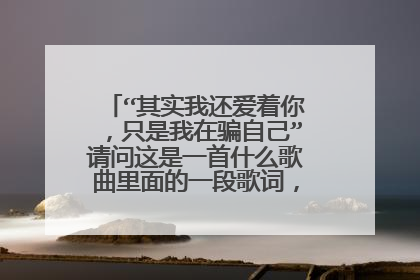 “其实我还爱着你，只是我在骗自己”请问这是一首什么歌曲里面的一段歌词，歌名叫什么？