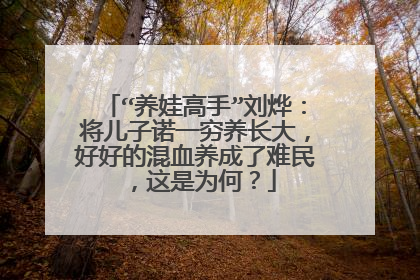 “养娃高手”刘烨：将儿子诺一穷养长大，好好的混血养成了难民，这是为何？