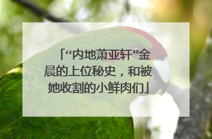 “内地萧亚轩”金晨的上位秘史，和被她收割的小鲜肉们