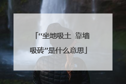 “坐地吸土 靠墙吸砖”是什么意思