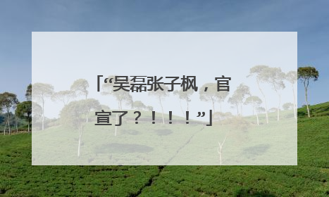 “吴磊张子枫,官宣了?!!!”