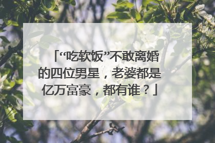 “吃软饭”不敢离婚的四位男星，老婆都是亿万富豪，都有谁？