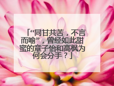 “同甘共苦，不言而喻”，曾经如此甜蜜的章子怡和高枫为何会分手？