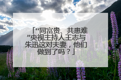 “同富贵、共患难”央视主持人王志与朱迅这对夫妻，他们做到了吗？