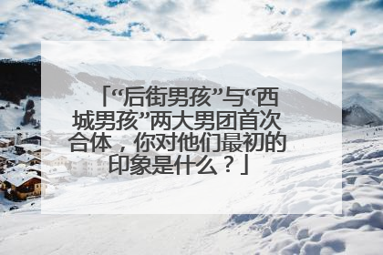 “后街男孩”与“西城男孩”两大男团首次合体，你对他们最初的印象是什么？