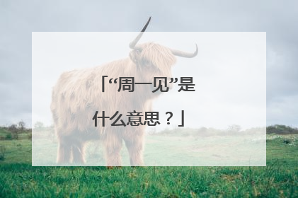 “周一见”是什么意思？
