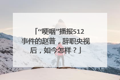 “哽咽”播报512事件的赵普，辞职央视后，如今怎样？