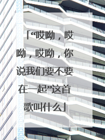 “哎呦，哎呦，哎呦，你说我们要不要在一起”这首歌叫什么