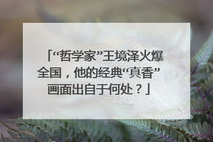 “哲学家”王境泽火爆全国，他的经典“真香”画面出自于何处？