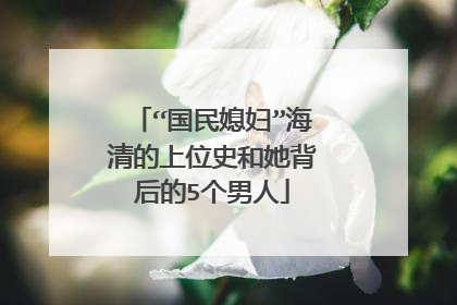 “国民媳妇”海清的上位史和她背后的5个男人