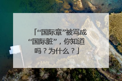 “国际章”被骂成“国际脏”，你知道吗？为什么？