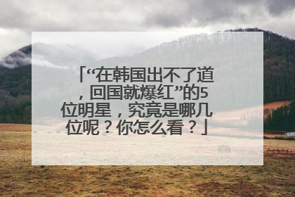 “在韩国出不了道，回国就爆红”的5位明星，究竟是哪几位呢？你怎么看？