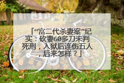 “富二代杀妻案”纪实:砍妻60多刀未判死刑,入狱后连伤五人,后来怎样?