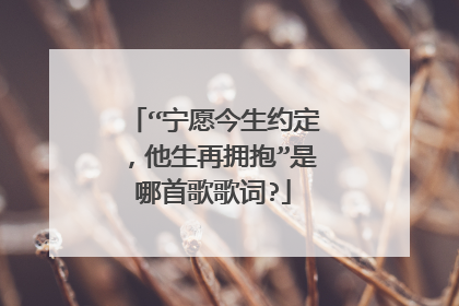 “宁愿今生约定，他生再拥抱”是哪首歌歌词?