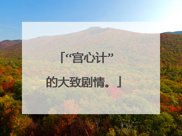 “宫心计” 的大致剧情。