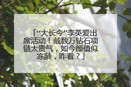 “大长今”李英爱出席活动!戴数万钻石项链太贵气,如今颜值似冻龄,咋看?