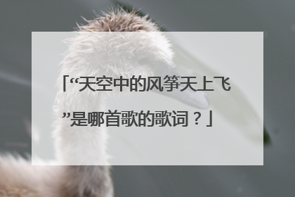 “天空中的风筝天上飞”是哪首歌的歌词？