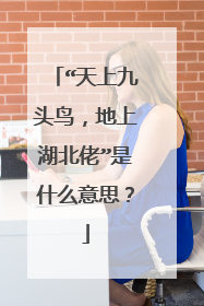 “天上九头鸟，地上湖北佬”是什么意思？