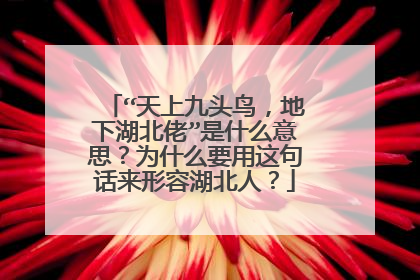 “天上九头鸟,地下湖北佬”是什么意思?为什么要用这句话来形容湖北人?