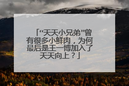 “天天小兄弟”曾有很多小鲜肉,为何最后是王一博加入了天天向上?