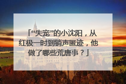 “失宠”的小沈阳，从红极一时到销声匿迹，他做了哪些荒唐事？
