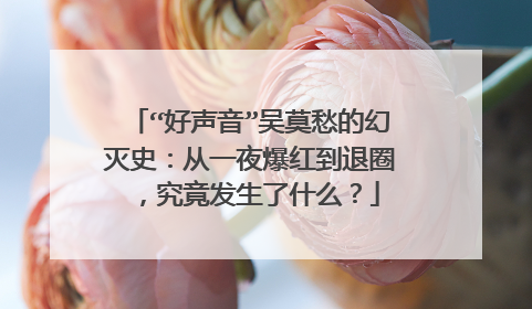 “好声音”吴莫愁的幻灭史：从一夜爆红到退圈，究竟发生了什么？