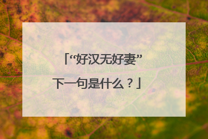 “好汉无好妻”下一句是什么?