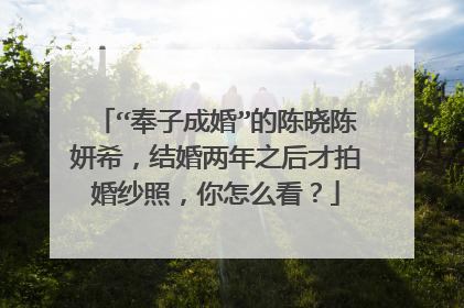 “奉子成婚”的陈晓陈妍希，结婚两年之后才拍婚纱照，你怎么看？